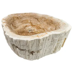 Novatto Petrified Fossil Wood Vessel Sink, Irregular Shape And Color