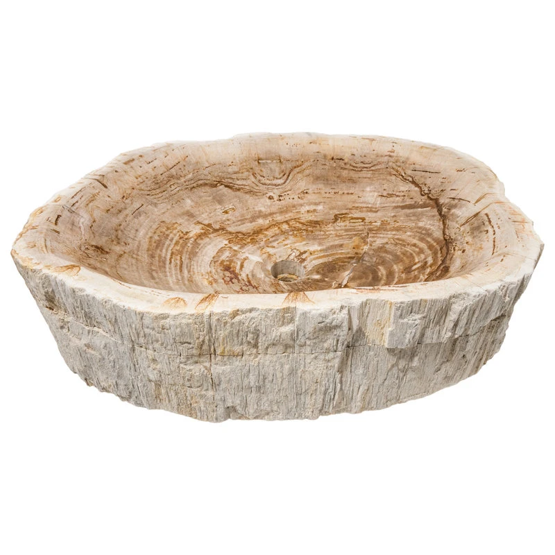 Novatto Petrified Fossil Wood Vessel Sink, Irregular Shape And Color - Image 4