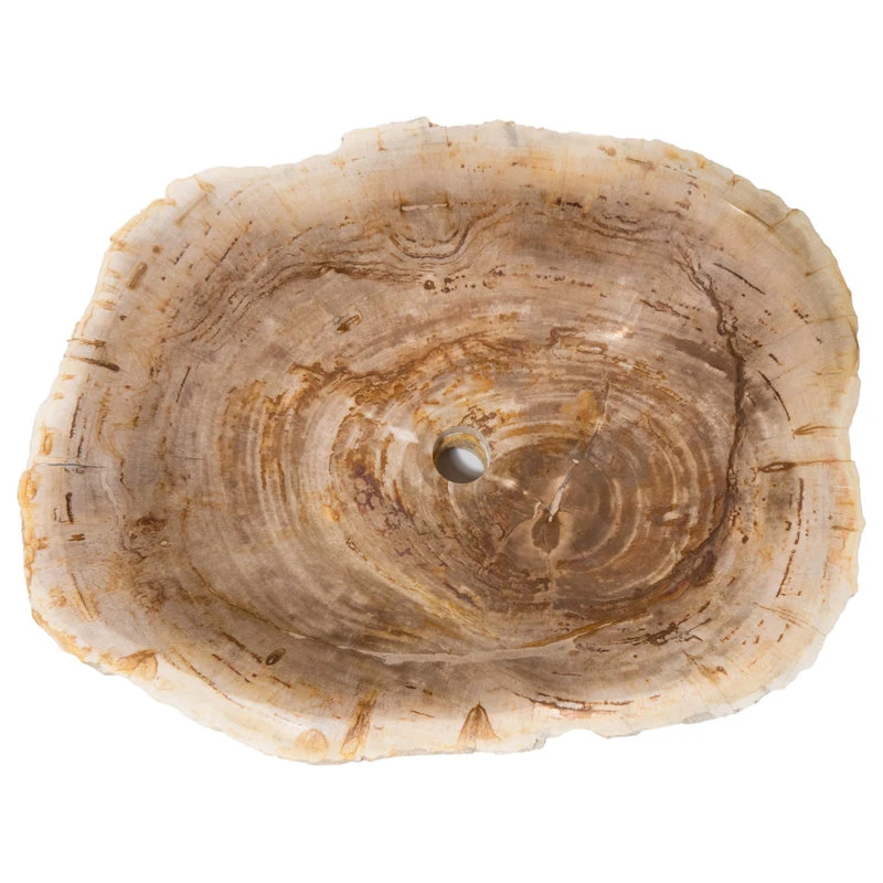 Novatto Petrified Fossil Wood Vessel Sink, Irregular Shape And Color - Image 3