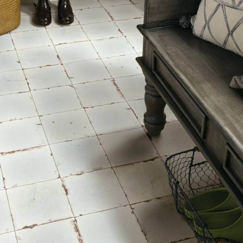 Shaw CS50Z Islander - 8" Square Floor And Wall Tile - Matte - Garden Way - Image 4