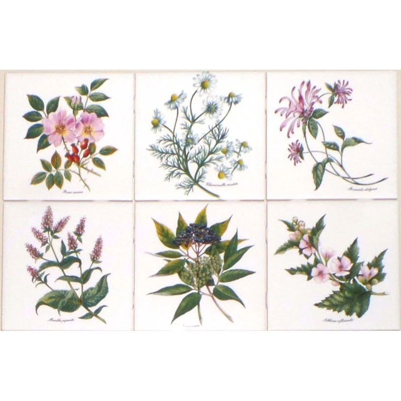 Mottles Murals Ceramic Tiles Herb Botanical Flower Kiln Fired Ceramic Tiles Of Backsplash, 6-Piece Set