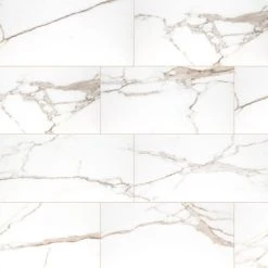 Buytilesandmore Savoy Crema 12X24 Polished Porcelain Tile, Sample