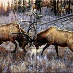 The Tile Mural Store (USA) Tile Mural, The Elk Square Off By Cynthie Fisher